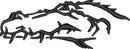 Alligator Silhouette