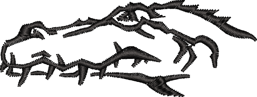 Alligator Silhouette
