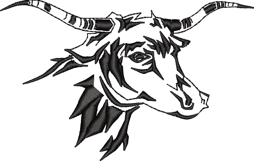 Longhorn Bull Head