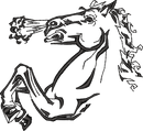 Rearing Horse Outline