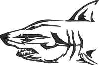 Shark Outline