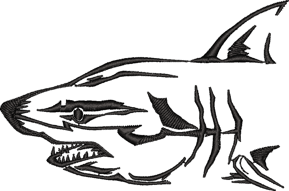 Shark Outline