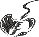 Stingray Tribal