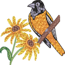 Maryland