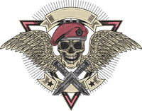 Military Skull