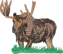 Moose