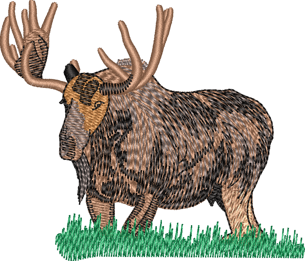 Moose