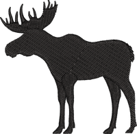 Moose