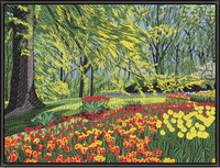 Nature Flowers