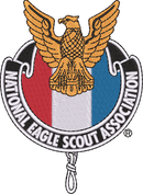 NESA2020