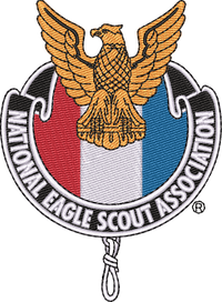 NESA2020