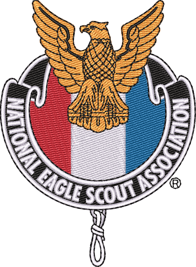 NESA2020