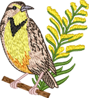 Nebraska Western Meadowlark