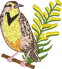 Nebraska Western Meadowlark