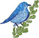 Nevada Mountain Bluebird