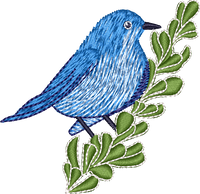 Nevada Mountain Bluebird