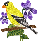 New Jersey Goldfinch