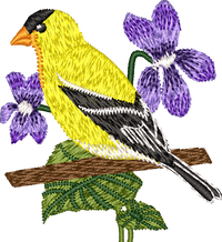 New Jersey Goldfinch
