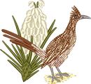New Mexico Roadrunner