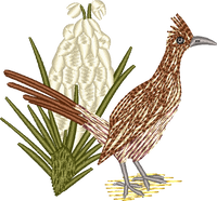 New Mexico Roadrunner