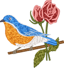 New York Eastern Bluebird