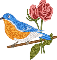 New York Eastern Bluebird