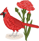 Ohio Cardinal and Carnation