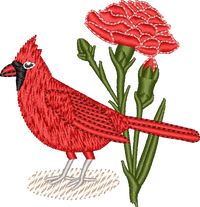 Ohio Cardinal and Carnation