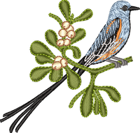 Oklahoma Scissor-tailed Flycatcher