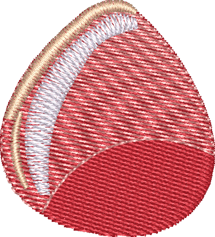 Onion2
