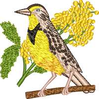 Oregon Western Meadowlark