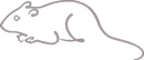 Mouse Outline
