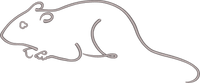 Mouse Outline