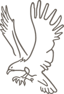 Outline Eagle