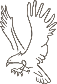 Outline Eagle