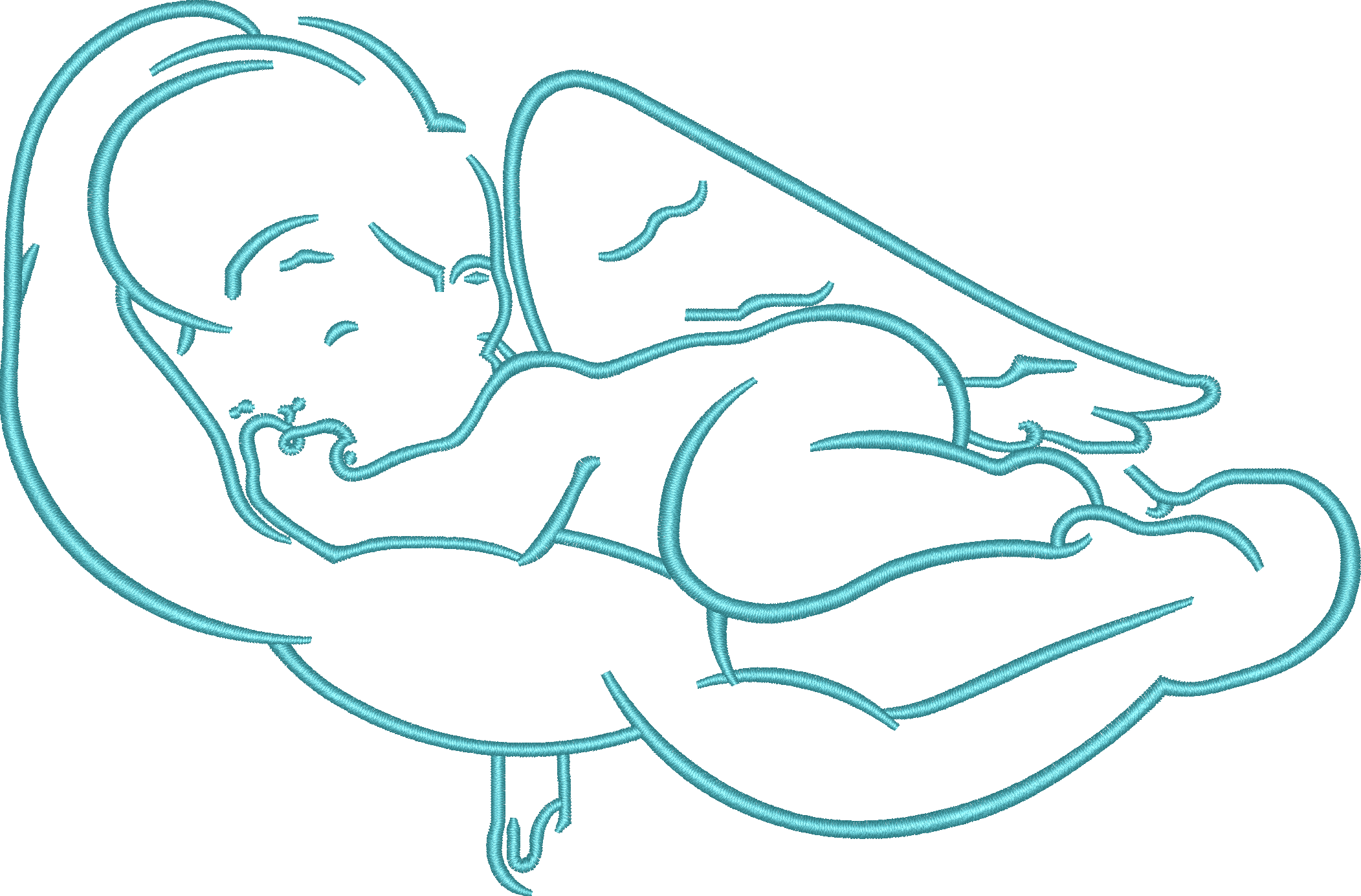 Outline24