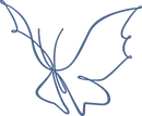 Outline Butterfly