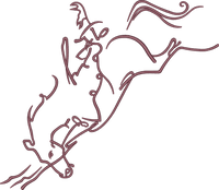 Outline Bucking Horse
