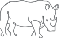 Outline Rhino
