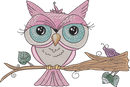 Owl Snail