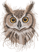 Owl Head Threads