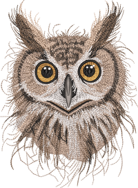Owl Head Threads