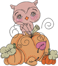 Owl Pumpkins