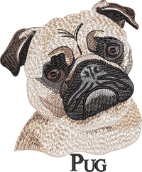 Pug