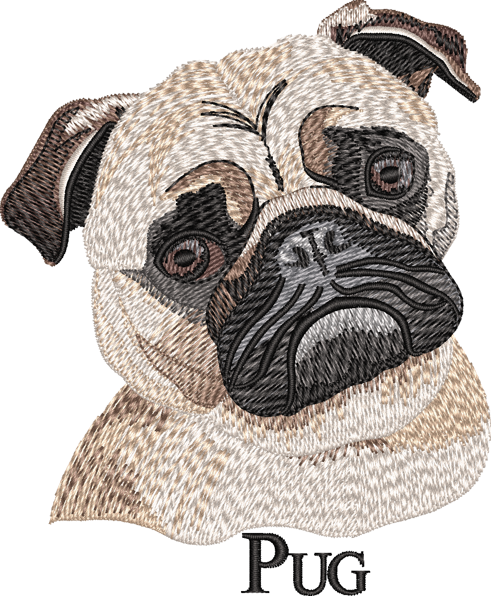 Pug