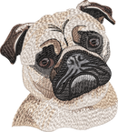 Pug