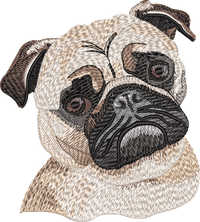 Pug