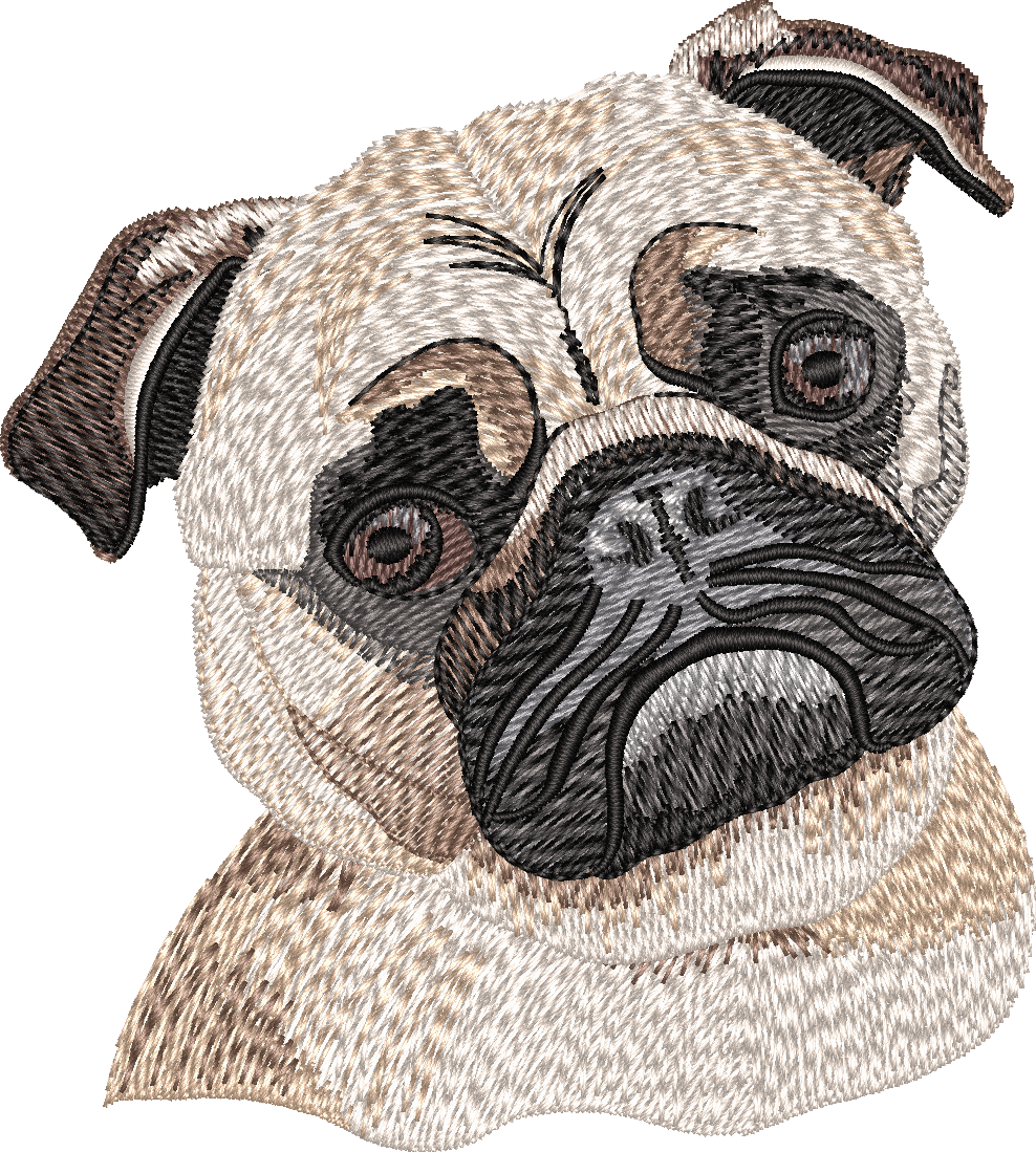 Pug