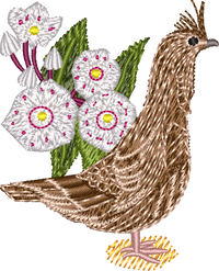 Pennsylvania State Bird