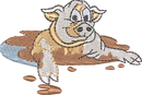 Pig with Mess